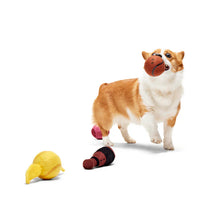 Load image into Gallery viewer, Dog playing with a toy on a white background