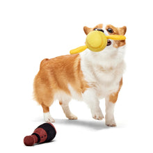 Load image into Gallery viewer, Dog playing with a yellow toy on a white background