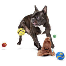 Load image into Gallery viewer, Dog playing with toys on a white background