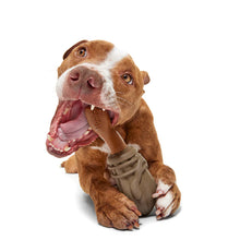 Load image into Gallery viewer, Dog holding a brown dog toy in its mouth on a white background