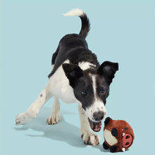 Load image into Gallery viewer, Dog playing with a plush toy on a light blue background
