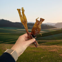 Load image into Gallery viewer, Nova Beef Achilles Tendon 100g