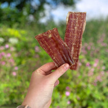 Load image into Gallery viewer, Hand holding two pieces of dried meat against a natural background with greenery and flowers.