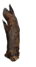 Load image into Gallery viewer, Nova Paddock Farm Wild Boar Trotter