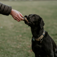 Load image into Gallery viewer, Black dog being fed a treat by a person outdoors on grass