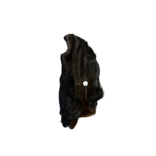 Load image into Gallery viewer, Black fur-like Cow Ear with Hair on a white background