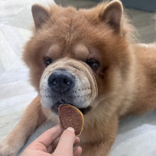 Load image into Gallery viewer, A fluffy light brown dog lying on a light gray floor while a human hand offers a round brown treat.