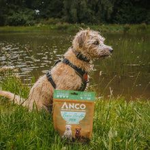Load image into Gallery viewer, Anco Fish Bone Broth 120g