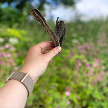 Load image into Gallery viewer, Nova Goat Tripe 1kg