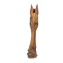 Load image into Gallery viewer, Brown Goat Foot on a white background