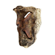Load image into Gallery viewer, Nova Hairy Beef Snouts