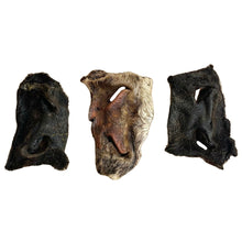 Load image into Gallery viewer, Nova Hairy Beef Snouts