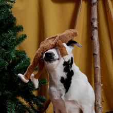 Load image into Gallery viewer, Dog playing with a reindeer toy next to a Christmas tree against a yellow curtain background