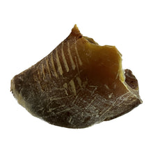 Load image into Gallery viewer, Empty Hooves - Single