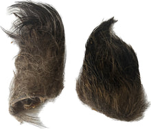 Load image into Gallery viewer, Hairy Wild Boar Ear