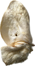 Load image into Gallery viewer, Large White Cow Ear