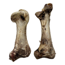 Load image into Gallery viewer, Ostrich Jumbo Bone