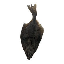 Load image into Gallery viewer, Dried Flounder Fish