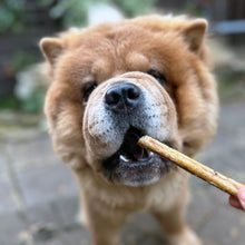 Load image into Gallery viewer, 100% Chicken Sausage Stick