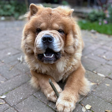 Load image into Gallery viewer, 100% Lamb Dental Stick