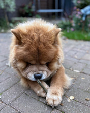 Load image into Gallery viewer, 100% Tripe Dental Stick