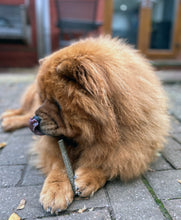 Load image into Gallery viewer, 100% Lamb Dental Stick