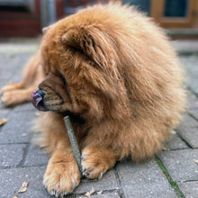 Load image into Gallery viewer, 100% Lamb Dental Stick