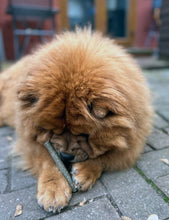 Load image into Gallery viewer, 100% Tripe Dental Stick