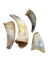 Load image into Gallery viewer, Anco Naturals Empty Cow Horn