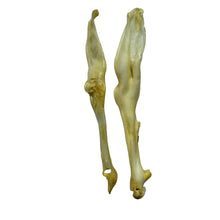 Load image into Gallery viewer, Anco Puffed Rabbit Ear