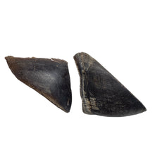 Load image into Gallery viewer, Anco Naturals Buffalo Hooves
