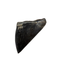 Load image into Gallery viewer, Anco Naturals Buffalo Hooves