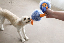 Load image into Gallery viewer, A small cream-colored dog is playing with a plush toy duck tug toy held by a human hand on a concrete floor.