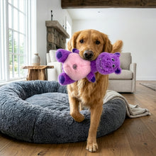 Load image into Gallery viewer, Dog holding a plush toy in a living room
