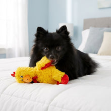 Load image into Gallery viewer, Black dog playing with a yellow and red plush toy on a bed.