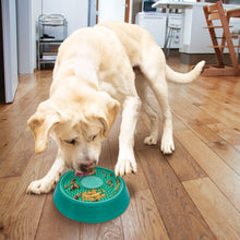 Load image into Gallery viewer, Dog interacting with a green treat puzzle toy on a wooden floor in a kitchen.