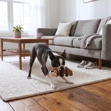 Load image into Gallery viewer, Dog playing with a toy on a rug in a living room