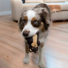 Load image into Gallery viewer, Dog holding a toy in its mouth on a wooden floor with a couch in the background