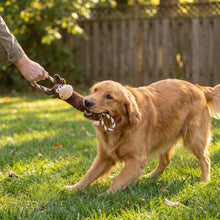 Load image into Gallery viewer, Dog playing with a toy outdoors on a grassy area