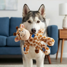 Load image into Gallery viewer, Dog holding a plush giraffe toy in a living room setting