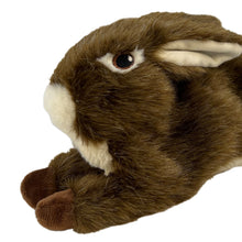Load image into Gallery viewer, Plush toy rabbit with brown fur and white accents on a white background