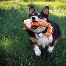 Load image into Gallery viewer, Dog playing with a toy in a grassy field