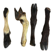 Load image into Gallery viewer, Hairy Lamb Trotter