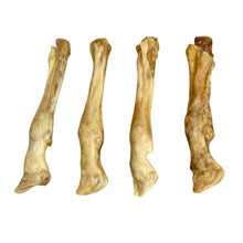 Load image into Gallery viewer, Lamb Trotter