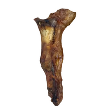 Load image into Gallery viewer, Brown bone fragment on a white background