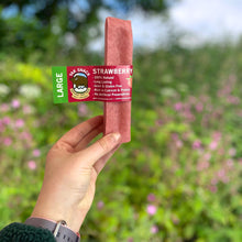Load image into Gallery viewer, Nova Yak Snack Strawberry Large