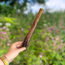 Load image into Gallery viewer, Nova Ostrich Marrow Bone