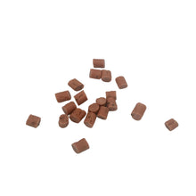 Load image into Gallery viewer, A small cluster of reddish-brown rectangular pellets or granules scattered on a plain white surface.