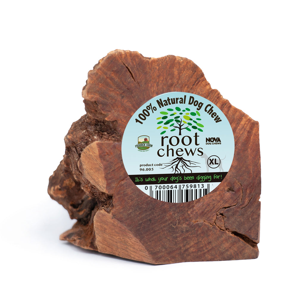 Antos origin root chew Clearance