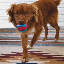 Load image into Gallery viewer, KONG Jaxx Brights Ball with Rope Medium